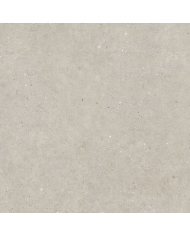 Gres porcellanato 60 X 120 Rettificato - Serie Biophilic