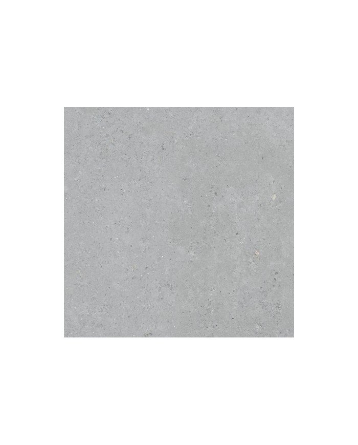 Gres porcellanato 20 X 120 Rettificato - Serie Biophilic