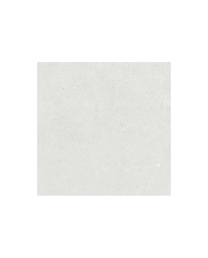 Gres porcellanato 20 X 120 Rettificato - Serie Biophilic