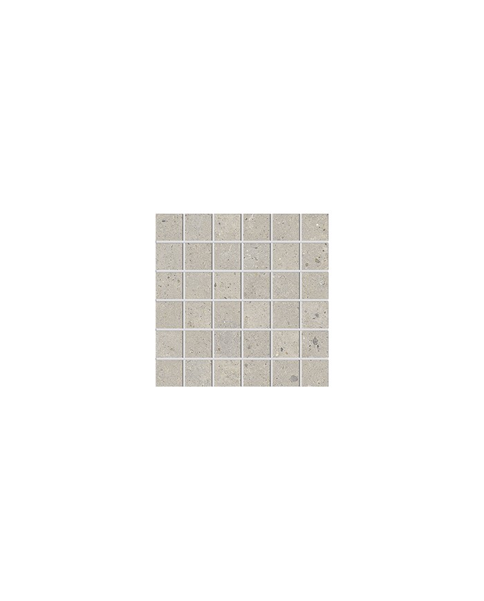 Gres porcellanato 30 X 30 Mosaico - Serie Biophilic