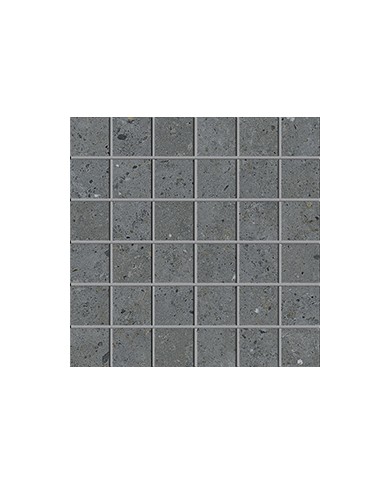 Gres porcellanato 30 X 30 Mosaico - Serie Biophilic