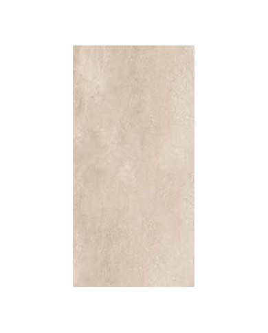 Gres porcellanato smaltato 45 x 90 Rett. - Serie Millennium