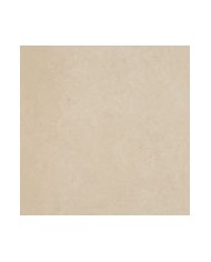 Rivestimento in gres porcellanato smaltato 20 x 20 Naturale - Serie Stone Tech