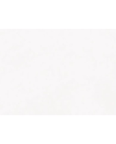 WC filo muro monoblocco completo di fissaggio WB9N - Serie Tribeca / FLO