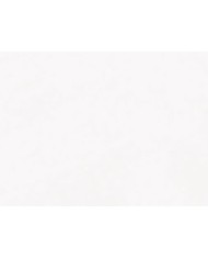 WC filo muro monoblocco completo di fissaggio WB9N - Serie Tribeca / FLO