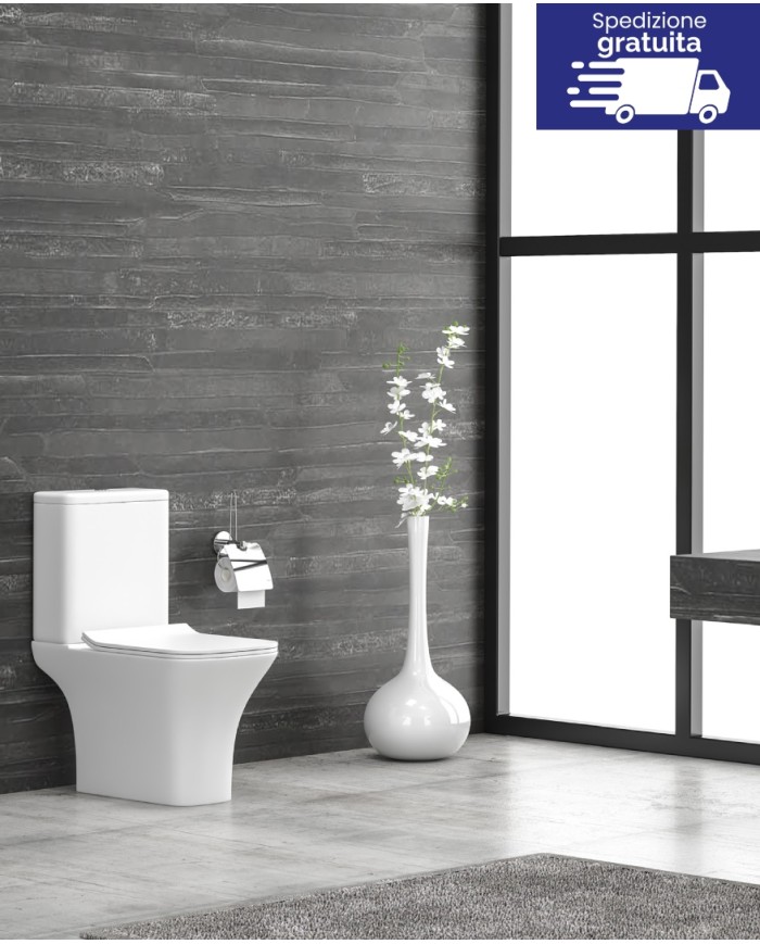 WC Rimless Filo muro con cassetta uscita orizzontale - Serie Natalia 1215